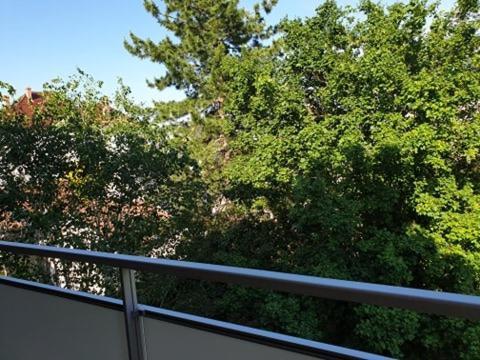 Appartement Foch A Colmar Eksteriør bilde
